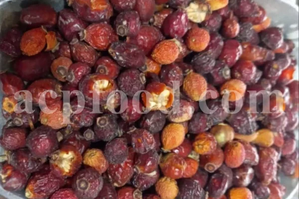 Buy rose hips. Bulk rose hips. Rose hip tea. Rose hip oil bulk. Buy rosehip tea. Buy rosehip powder. Rosehip fruit tea. Buy rosa canina. Buy dog rose. Dog rose petals. Rosa canina buy.