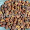 Buy rose hips. Bulk rose hips. Rose hip tea. Rose hip oil bulk. Buy rosehip tea. Buy rosehip powder. Rosehip fruit tea. Buy rosa canina. Buy dog rose. Dog rose petals. Rosa canina buy.