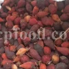 Buy rose hips. Bulk rose hips. Rose hip tea. Rose hip oil bulk. Buy rosehip tea. Buy rosehip powder. Rosehip fruit tea. Buy rosa canina. Buy dog rose. Dog rose petals. Rosa canina buy.