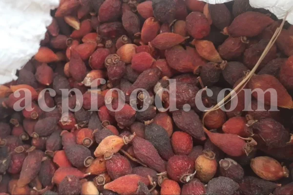 Buy rose hips. Bulk rose hips. Rose hip tea. Rose hip oil bulk. Buy rosehip tea. Buy rosehip powder. Rosehip fruit tea. Buy rosa canina. Buy dog rose. Dog rose petals. Rosa canina buy.