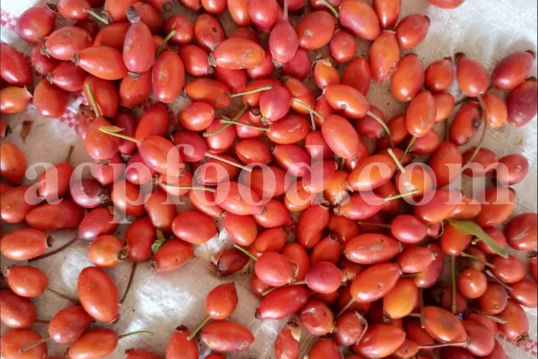 Buy rose hips. Bulk rose hips. Rose hip tea. Rose hip oil bulk. Buy rosehip tea. Buy rosehip powder. Rosehip fruit tea. Buy rosa canina. Buy dog rose. Dog rose petals. Rosa canina buy.