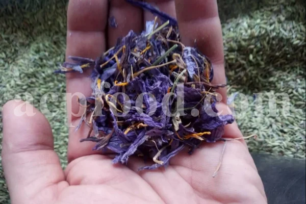 Saffron for sale. Buy Saffron. Saffron wholesale price. Saffron spice for sale. Best Saffron to buy. Order Saffron. Cost of Saffron per kg. Kesar 1kg price. Price of kesar. Price of Saffron per kilo. Buy Iranian Saffron. Persian Saffron. Zafran Iran for sale.