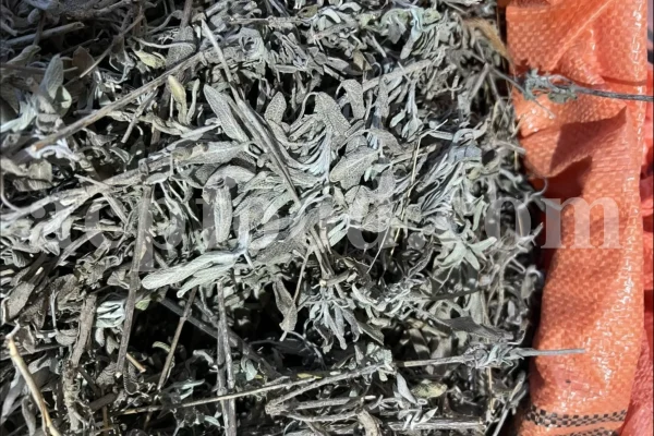Buy sage dried leaves. Sage leaves for sale. Bulk dried sage leaves. Sage purchase. Dried sage leaves for burning.