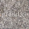 Milk Thistle seed for sale. Buy Milk Thistle seeds. Milk Thistle seeds wholesale price. Bulk Milk Thistle. Organic Milk Thistle seeds. Milk Thistle herbs for sale. Silybum marianum seeds purchase. Buy Blessed Thistle seeds. Cardo Mariano seeds in bulk. Thistle seedling in bulk. Silybum seeds buy. Holy Blessed milk thistle.