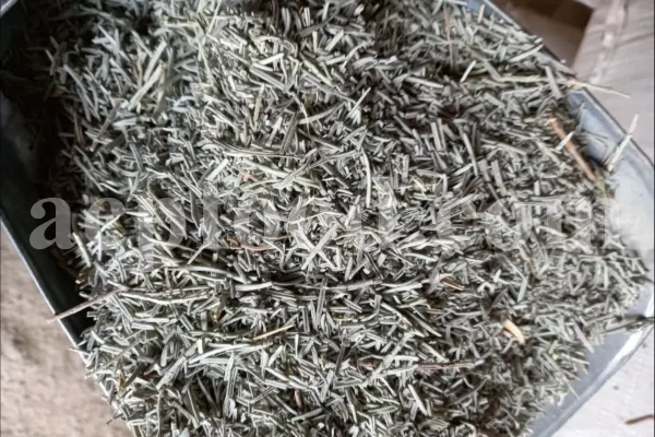 Loose dried lavender spread across a surface