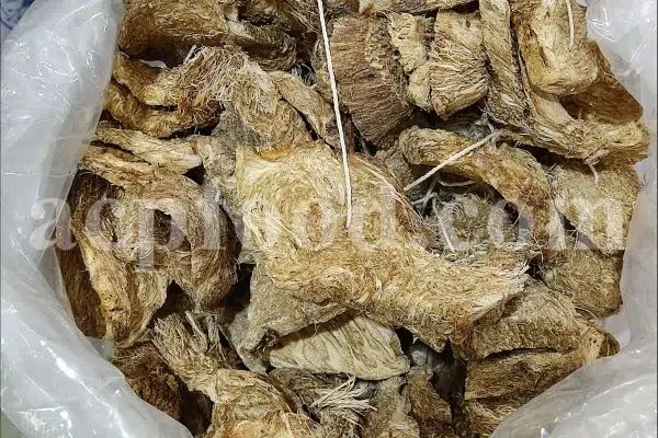 Ferula moschata root wholesale price. Ferula sumbul root purchase. Muskroot in bulk. Buy Sumbul root. Musk root for sale.