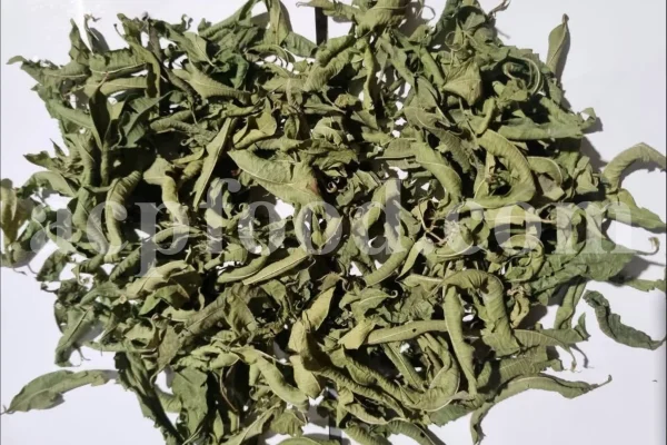 Buy Lemon Verbena. Lemon Verbena for sale. Vervain tea wholesale price. Bulk Lemon Verbena leaves. Cedron tea in bulk. Buy Aloysia citrodora tea. Lemon Beebrush tea for sale. Verbena for sale near me. Dried Verbena buy. Lemon Vervain wholesale price. Verbena dry leaves purchase.