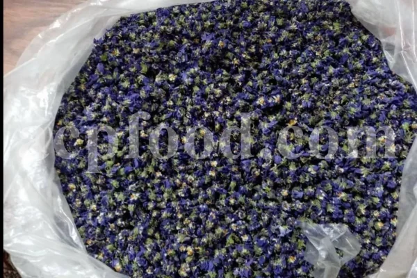 Viola odorata tea for sale. Buy sweet violet dried flowers. Common violet wholesale. English violet in bulk. Viola odorata for sale. Bulk sweet violet tea. Dried sweet violet flowers purchase. Common blue violet tea price.