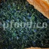 Viola odorata tea for sale. Buy sweet violet dried flowers. Common violet wholesale. English violet in bulk. Viola odorata for sale. Bulk sweet violet tea. Dried sweet violet flowers purchase. Common blue violet tea price.
