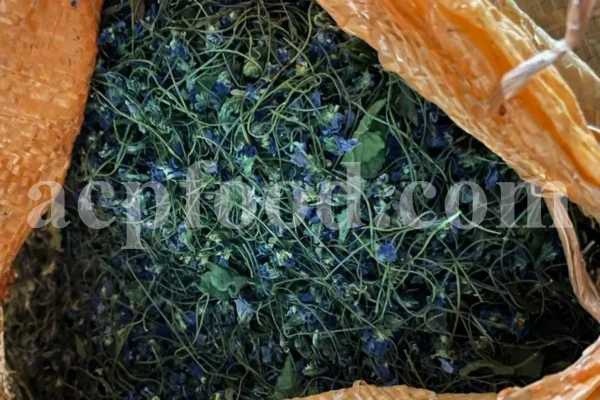 Viola odorata tea for sale. Buy sweet violet dried flowers. Common violet wholesale. English violet in bulk. Viola odorata for sale. Bulk sweet violet tea. Dried sweet violet flowers purchase. Common blue violet tea price.
