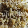 Frankincense wholesale price. Frankincense resin buy. Frankincense resin in bulk. Buy frankincense. Indian frankincense purchase. Boswellia Frankincense wholesale price. Frankincense near me. Boswellia Indian Frankincense. Buy Boswellia serrata olibanum.