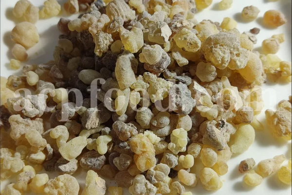 Frankincense wholesale price. Frankincense resin buy. Frankincense resin in bulk. Buy frankincense. Indian frankincense purchase. Boswellia Frankincense wholesale price. Frankincense near me. Boswellia Indian Frankincense. Buy Boswellia serrata olibanum.