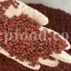 Red Sumac for sale. Buy brown Sumac. Dried Sumac wholesale price. Sumac order. Sumac powder price. Sicilian Sumac in bulk. Sumac Rhus coriaria purchase.