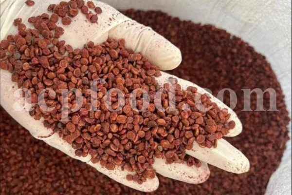 Red Sumac for sale. Buy brown Sumac. Dried Sumac wholesale price. Sumac order. Sumac powder price. Sicilian Sumac in bulk. Sumac Rhus coriaria purchase.