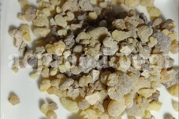 Frankincense wholesale price. Frankincense resin buy. Frankincense resin in bulk. Buy frankincense. Indian frankincense purchase. Boswellia Frankincense wholesale price. Frankincense near me. Boswellia Indian Frankincense. Buy Boswellia serrata olibanum.
