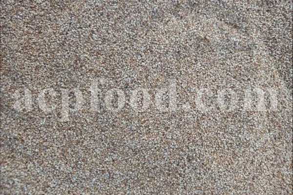 Bulk Sesame seeds. Buy Sesame seeds. Sesame seeds for sale. Brown Sesame seeds wholesale price. Buy Simsim seeds. Bulk roasted white Sesame seeds. Sesame price. Benni seed in bulk. Cost of Sesame seeds. Sesame seeds purchase. Organic Sesame seeds bulk. Sesame seed price. Buy Sesame seeds in bulk. Bulk Sesame. Buy Sesame. Purchase Sesame seeds. Benne seeds for sale. Buy Til seeds. Brown Sesame for sale. Sesame where to buy.