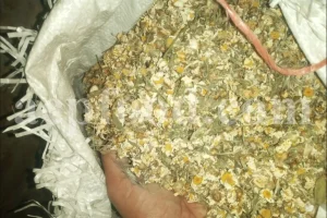 Dried chamomile for sale. Chamomile for sale. Buy chamomile. Bulk chamomile. Bulk chamomile tea. Dried chamomile flowers wholesale price. Buy chamomile tea. Dried chamomile flowers bulk.