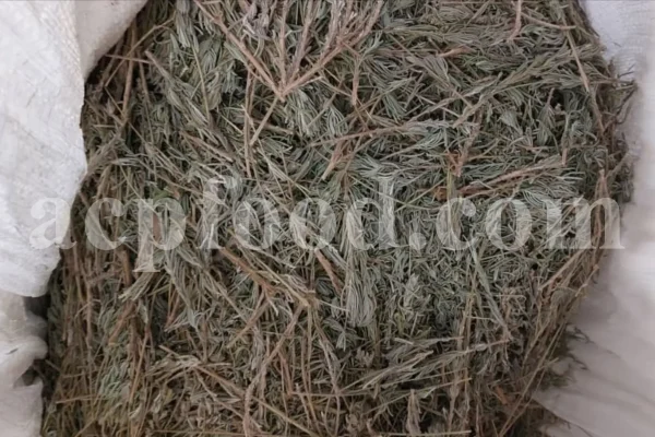 Wholesale dried lavender leaves export quality for herbal and botanical industries