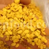 Prunus lycioides fruit for sale. Amygdalus lycioides fruit wholesale price. Buy mountain almond. Wild almond in bulk. Wild almond fruit puchase. Bulk wild almond seeds. Wild badam for sale.