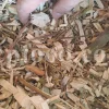 Bulk white willow bark. White willow bark for sale. Willow bark wholesale. White willow bark bulk. Purchase dried white willow bark. Salix alba willow bark wholesale. The willow's bark in bulk. Weeping willow white bark. White willow bark salix alba. White willow leaves for sale. Salix alba leaf price. Salix alba leaves wholesale. White willow tree leaves.