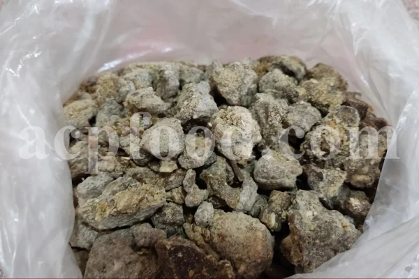 Bulk Willow Manna for sale. Salix fragilis Tree Manna Wholesaler. Brittle Willow Tree Manna Supplier. Crack Willow Tree Manna Exporter.