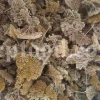 Yarrow for sale. Buy common yarrow. Bloodwort wholesale. Milfoil price. Dried yarrow for sale. Yarrow price. Dried yarrow flowers for sale. Yarrow tea where to buy. Achillea dried for sale. Buy yarrow tea. Bulk milfoil yarrow tea. White yarrow tea in bulk. Yarrow plant tea purchase. Milfoil tea price.