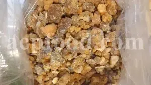 Buy Opoponax. Bulk Opopanax resin. Sweet Myrrh Opoponax. Sweet Myrrh resin wholesale price. Opopanax hispidus purchase.
