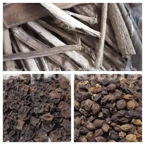 Assyrian Plum for sale. Buy Sebastian Plum. Bulk Cordia myxa. Cordia myxa for sale. Cordia fruit wholesale price. Sapistan fruit in bulk. Dried Sapistan for sale.