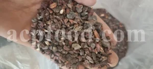 Quince seeds for sale. Bulk Bahi Dana seeds. Cydonia oblonga seeds wholesale price. Buy Quince fruit seeds. Beh Daneh purchase.