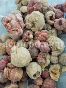 Bulk Sarcocolla Gum for sale. Astragalus Sarcocolla Gum Wholesaler, Supplier, Exporter and Provider. Buy High Quality Anzaroot with the Best Price.