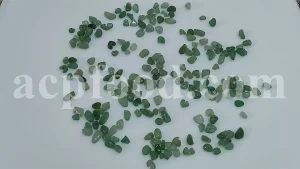Buy emerald. Emerald for sale. Emerald price. Emerald stone price. Panna stone price. Buy emerald stone. Emerald cost. Emerald price per carat. Sell emeralds near me. Real emerald price. Emerald value. Emerald cost per carat. 1 kg emerald price. Cost of emerald stone. Purchase emerald stone. Emerald value per carat. Panna stone online. Real emerald cost. Buy panna online. Rough emerald stone. Average emerald price. Emerald price per kg. Emerald price per ounce. Emerald rate per carat. Emerald raw stone price. Emerald rough price. Emerald stone rate. Emerald wholesale price. Gems emerald price. Green emerald price per carat. Green emerald rough. Low quality emerald price. Maragatham stone price. Natural emerald stone price per carat. Price of a emerald. Pure panna stone price. Pure panna stone price. Raw emerald price per carat. Raw rough emerald. Rough emerald price per carat. Rough green emerald. Rough natural emerald stone. Rough raw emerald. Smaragd price per carat. The price of emerald. Uncut emerald price per carat.
