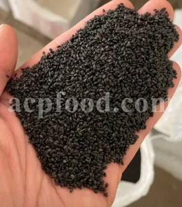 Basil seeds for sale. Holy Basil seeds for sale. Bulk Lime Basil seeds. Falooda seeds wholesale price. Buy Thai Basil seeds. Ocimum basilicum seeds wholesale price.