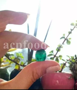 Buy emerald. Emerald for sale. Emerald price. Emerald stone price. Panna stone price. Buy emerald stone. Emerald cost. Emerald price per carat. Sell emeralds near me. Real emerald price. Emerald value. Emerald cost per carat. 1 kg emerald price. Cost of emerald stone. Purchase emerald stone. Emerald value per carat. Panna stone online. Real emerald cost. Buy panna online. Rough emerald stone. Average emerald price. Emerald price per kg. Emerald price per ounce. Emerald rate per carat. Emerald raw stone price. Emerald rough price. Emerald stone rate. Emerald wholesale price. Gems emerald price. Green emerald price per carat. Green emerald rough. Low quality emerald price. Maragatham stone price. Natural emerald stone price per carat. Price of a emerald. Pure panna stone price. Pure panna stone price. Raw emerald price per carat. Raw rough emerald. Rough emerald price per carat. Rough green emerald. Rough natural emerald stone. Rough raw emerald. Smaragd price per carat. The price of emerald. Uncut emerald price per carat.