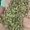 Freshly harvested bulk taranjabin Persian manna crystals