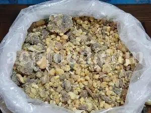 Bulk Ferula Persica Gum for sale. Sagapenum in bulk. Ferula persica resin wholesale price. Sagapenum purchase.