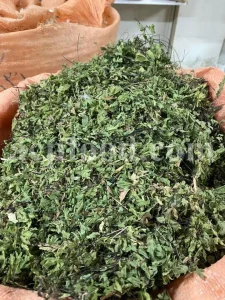 Dried Maidenhair Fern for sale. Adiantum capillus veneris dried leaves wholesale price. Buy Maiden Hair Fern dry leaves. Adiantum capillus veneris for sale. Bulk Maidenhair Fern adiantum capillus veneris.