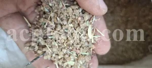 Buy Manna of Hedysarum. Taranjabin for sale. Alhagi pseudalhagi Manna wholesale price. Bulk Alhagi maurorum Manna. Persian Manna purchase.