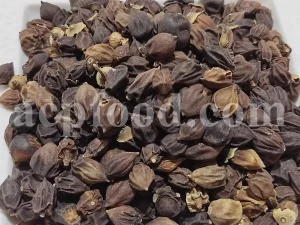 Assyrian Plum for sale. Buy Sebastian Plum. Bulk Cordia myxa. Cordia myxa for sale. Cordia fruit wholesale price. Sapistan fruit in bulk. Dried Sapistan for sale.
