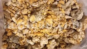 White Fasoukh for sale. Buy ferula communis plant resin. Giant fennel plant gum wholesale price.
