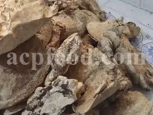Buy Agarikon. Agarikon mushroom for sale. Agarikon Fomitopsis officinalis wholesale price. Mushroom Agarikon purchase. Bulk Agarikon fungus.