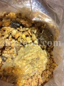 White Fasoukh for sale. Buy ferula communis plant resin. Giant fennel plant gum wholesale price.