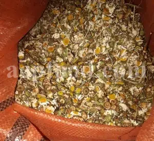 Dried chamomile for sale. Chamomile for sale. Buy chamomile. Bulk chamomile. Bulk chamomile tea. Dried chamomile flowers wholesale price. Buy chamomile tea. Dried chamomile flowers bulk.