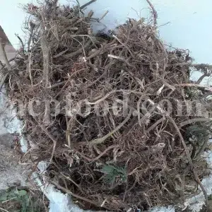 Buy dried nettles. Organic dried nettle leaves for sale. Buy dried nettle tea. Buy stinging nettles. Nettle seeds for sale. Buy stinging nettle tea. Nettle leaves for sale. Bulk stinging nettle. Urtica dioica leaf. Urtica urens buy online.