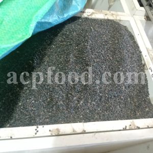 Buy datura seeds. Datura seeds for sale. Datura stramonium seeds for sale. Jimson seeds for sale. Jimson weed seeds for sale. Stramonium seed wholesale. Bulk thorn apple seed.