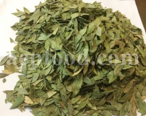 Dried Myrtle leaves for sale. Myrtle leaves purchase. Leaf Myrtle buy. Bulk Mirto leaves. Myrtle leaf tea wholesale price.