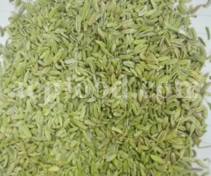 Fennel seed for sale. Buy fennel seed. Bulk fennel seed. Best fennel seeds to buy. Buy fennel seeds for planting. Fennel seed price. Fennel seeds 1kg price. Fennel seeds wholesale. Fennel to buy. Foeniculum vulgare seeds. Fennel vulgare for sale. Buy foeniculum vulgare fennel.