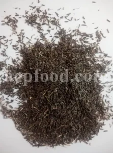 Lovage seeds for sale. Bulk levisticum officinale seeds. Buy lovage seeds. Lovage seeds near me. Bulk maggi plant seeds.