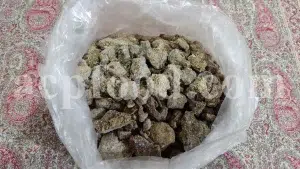 Bulk Willow Manna for sale. Salix fragilis Tree Manna Wholesaler. Brittle Willow Tree Manna Supplier. Crack Willow Tree Manna Exporter.