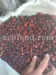 Buy rose hips. Bulk rose hips. Rose hip tea. Rose hip oil bulk. Buy rosehip tea. Buy rosehip powder. Rosehip fruit tea. Buy rosa canina. Buy dog rose. Dog rose petals. Rosa canina buy.