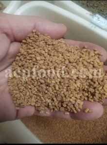 Buy Fenugreek seed. Fenugreek seed for sale. Methi seeds wholesale price. Where can you buy Fenugreek. Organic Methi seeds purchase. Where do I buy Fenugreek seeds. Trigonella foenum graecum seed.